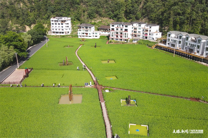 陽(yáng)芳村稻魚(yú)綜合種養(yǎng)殖基地（歐陽(yáng)章杰）.png